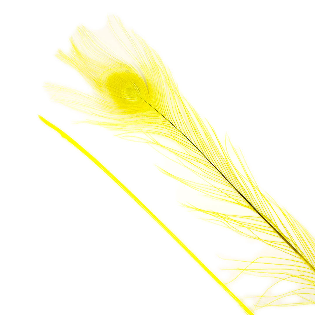 Peacock Feathers | 25-40’’ Tail Eyes | Fluorescent Yellow - Peacock Feathers