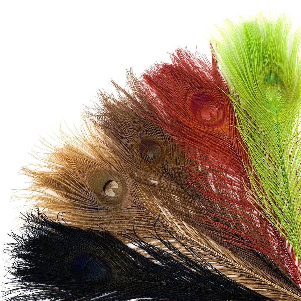 Peacock Tail Eyes Bleached - Vintage Mix - 8 - 15’’ - Feathers