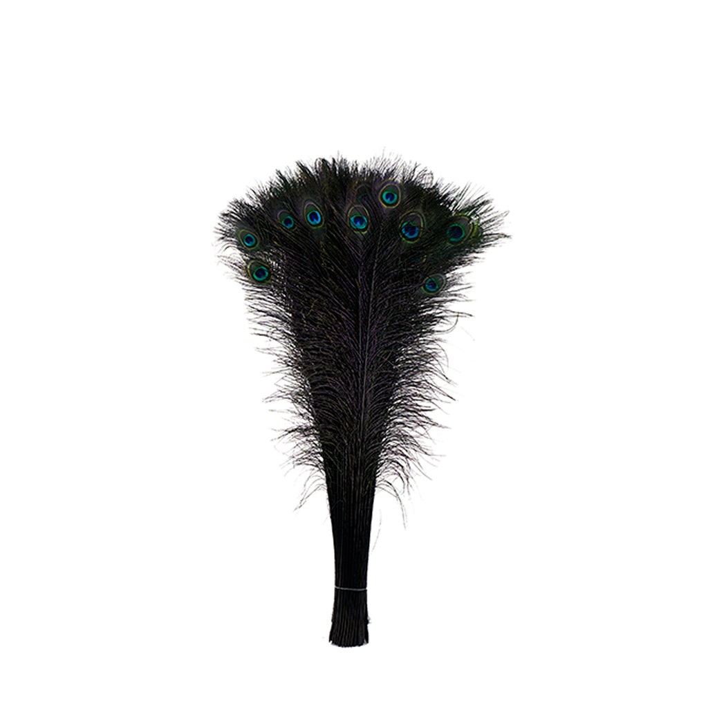 Peacock Tail Eyes Stem Dyed - 25-40 Inch - 100 PCS - Black - Feathers