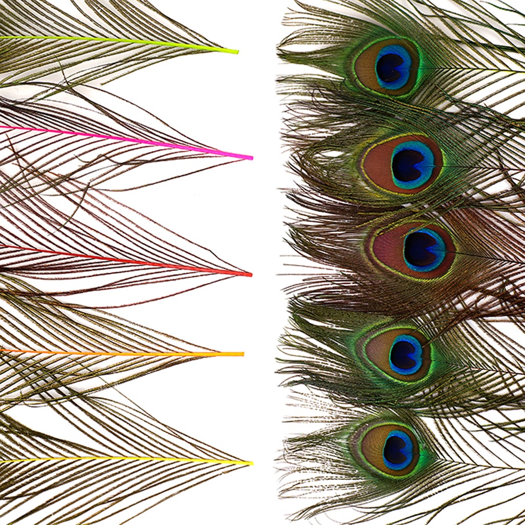 Peacock Tail Eyes Stem Dyed Mix - Neon Mix - Feathers
