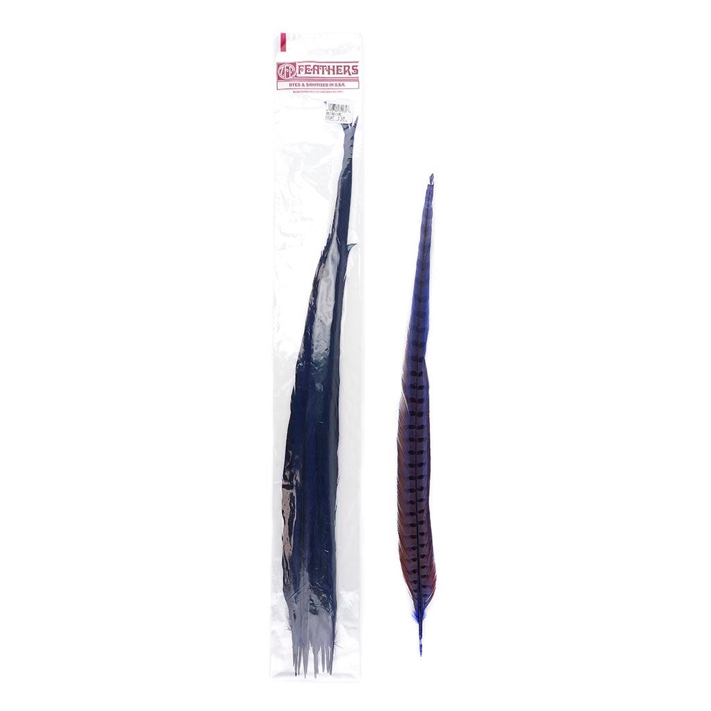 Pheasant Tails Assorted Bleached - Regal - Feathers