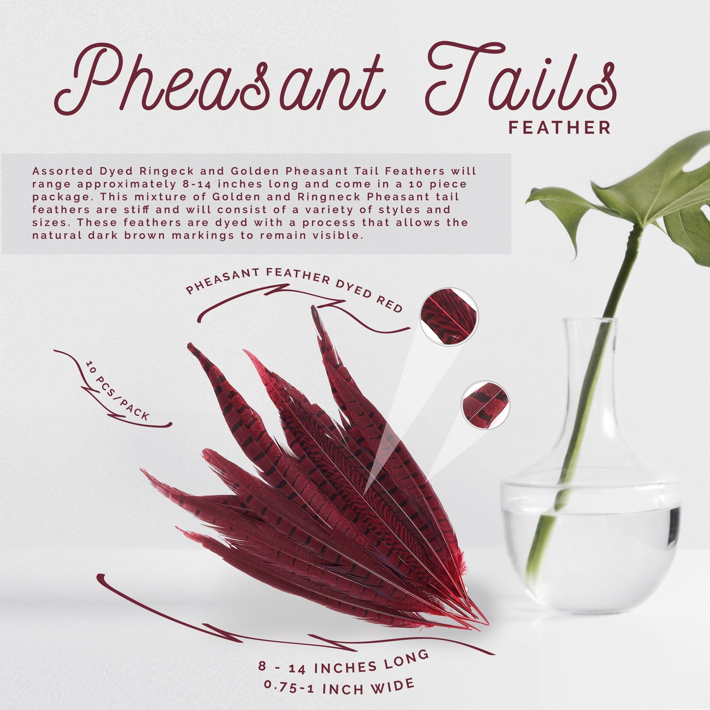 Pheasant Tails Assorted Dyed - Red - 8-14’’ - Feathers