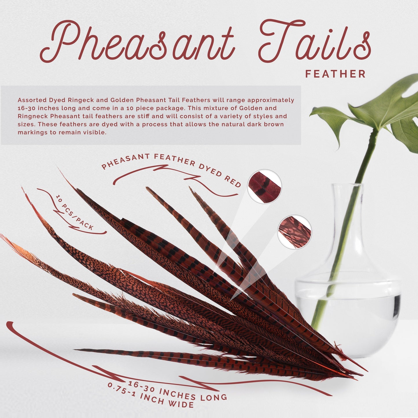 Pheasant Tails Assorted Dyed - Red - Feathers