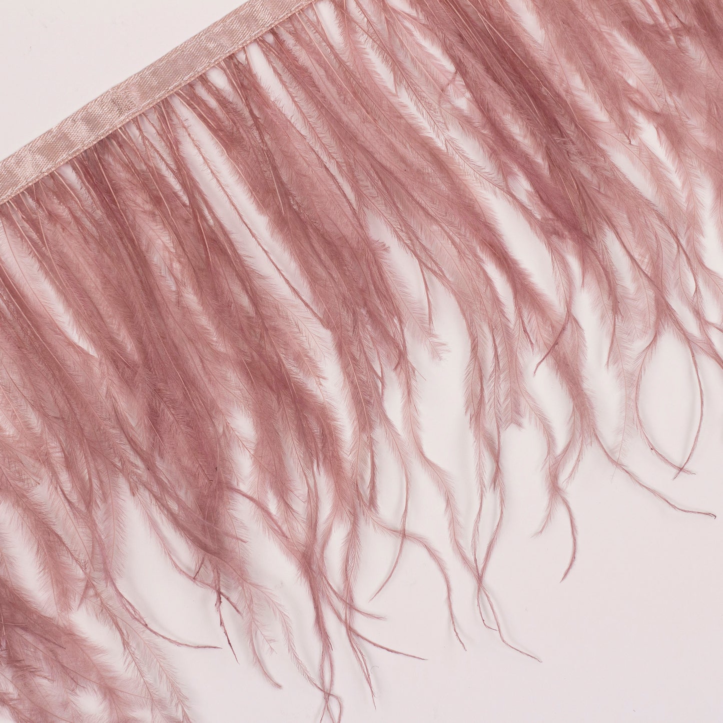 One-Ply Ostrich Feather Fringe - 1 Yard - Mauve