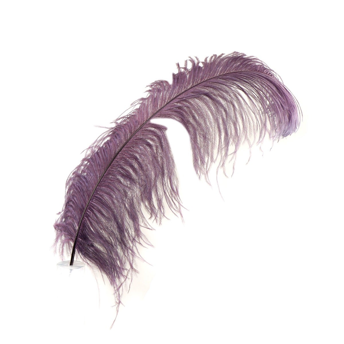 Bulk Ostrich Feathers-Damaged Femina - Silver –