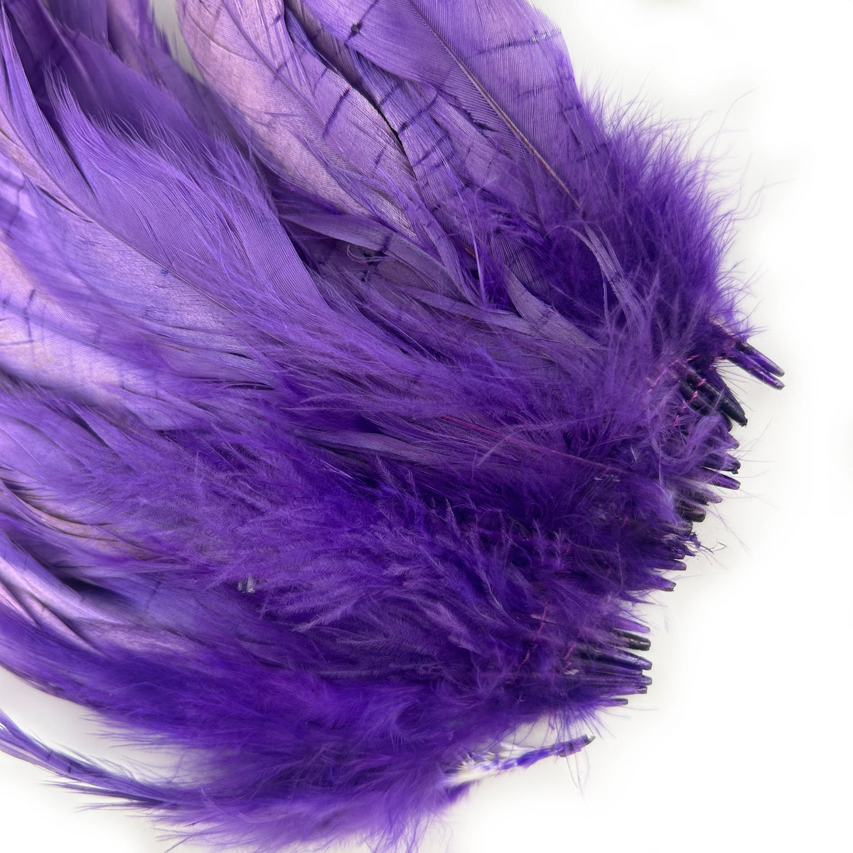 ROOSTER COQUE TAIL FEATHERS BLEACH DYED 7-10” - 25 PC/PKG - Regal