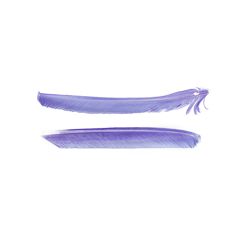 Lavender Cut Turkey Pointer Feathers 8-12"