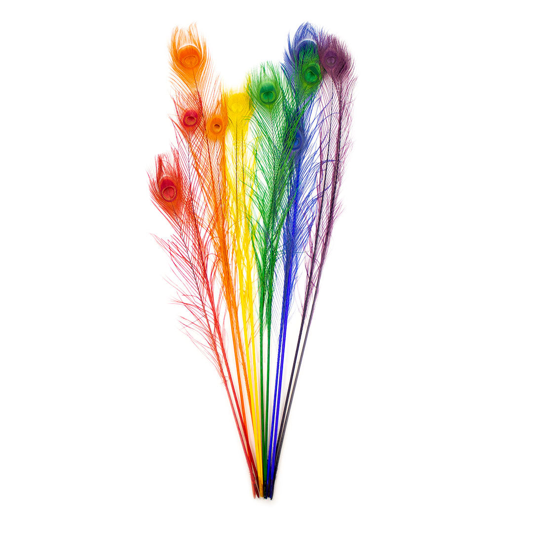 Rainbow Peacock Eye Feathers 25-40’’- 12 pcs