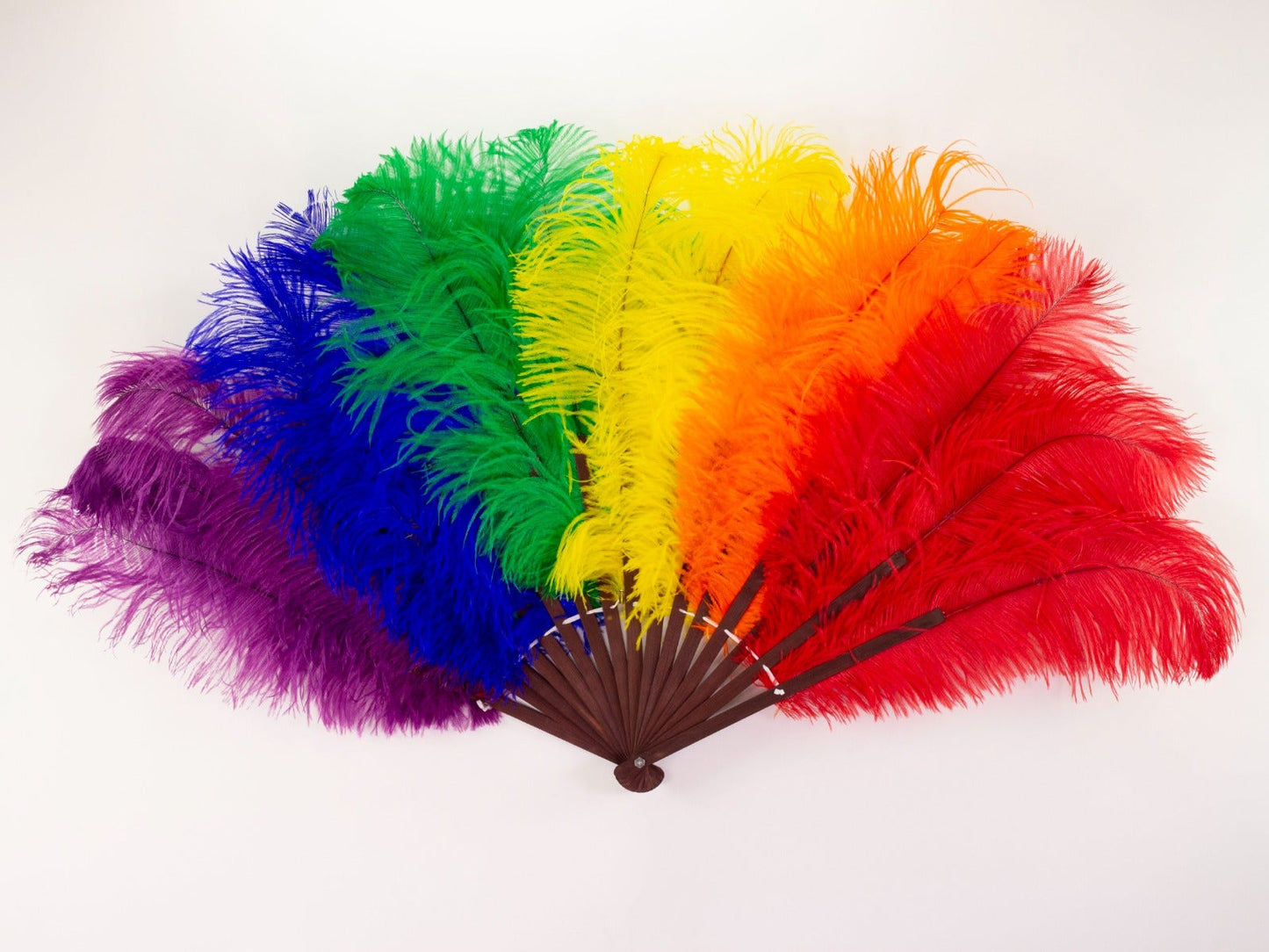 Rainbow Pride Fan - Feathers