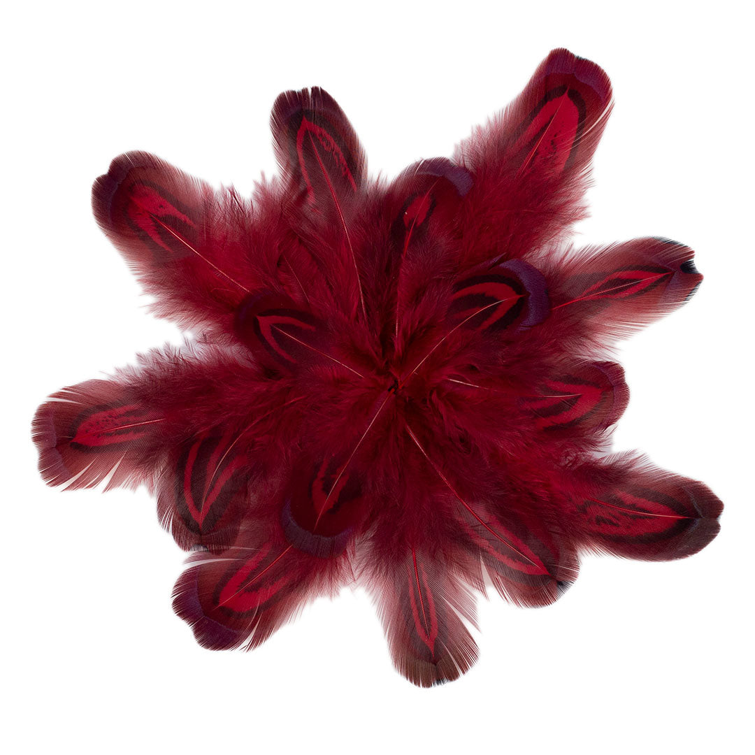 Tango Red Almond Ringneck Pheasant Loose Plumage 2-3 inch