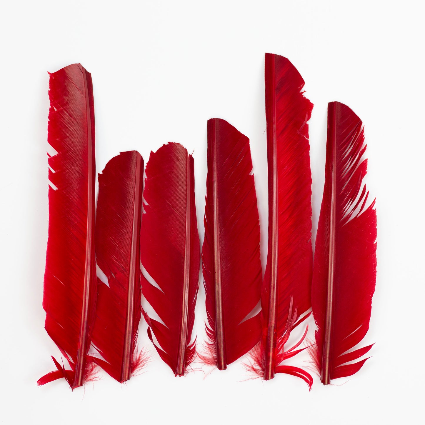 Red Cut Turkey Pointer Feathers 8-12"