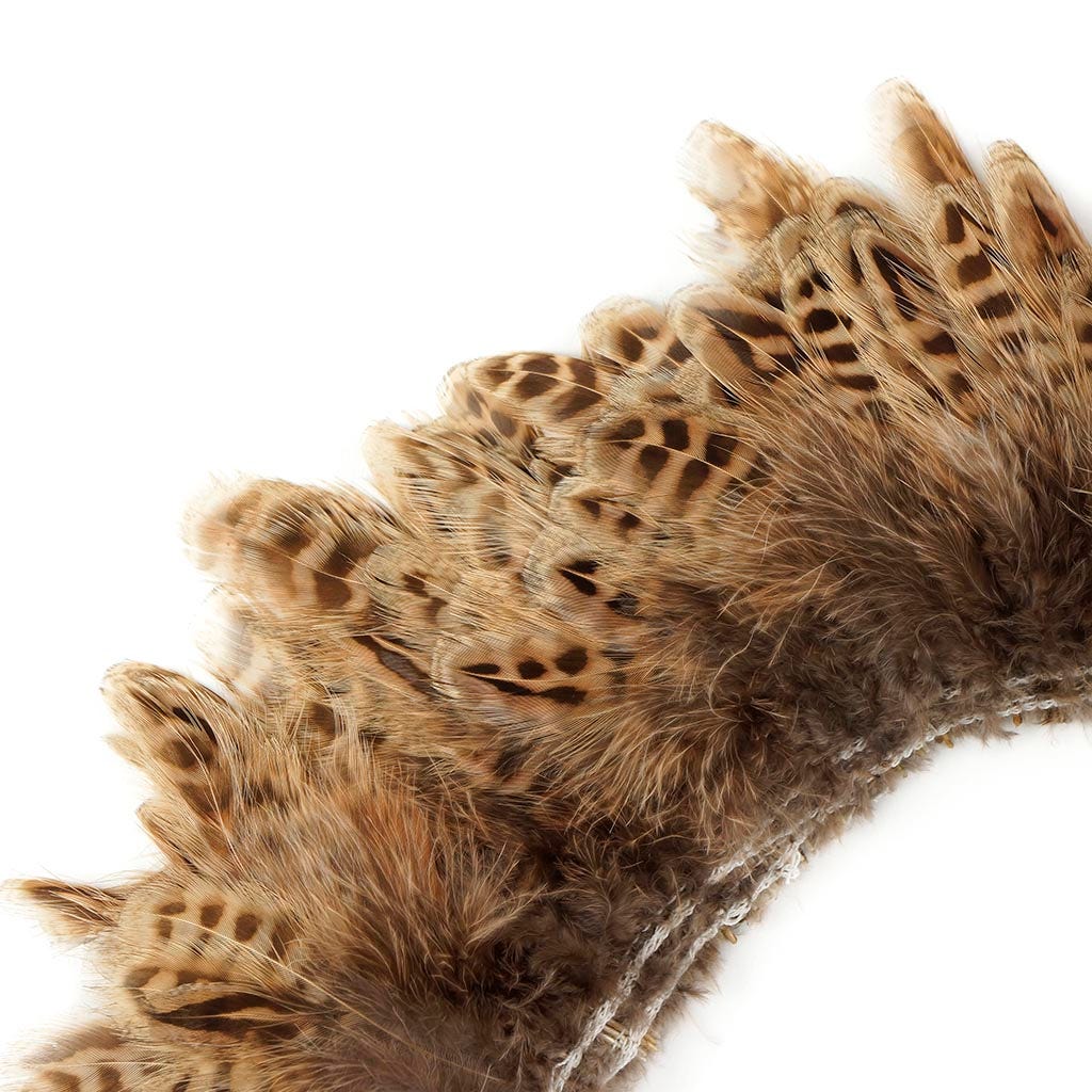 Ringneck Pheasant Plumage 1 YD Natural - Feathers