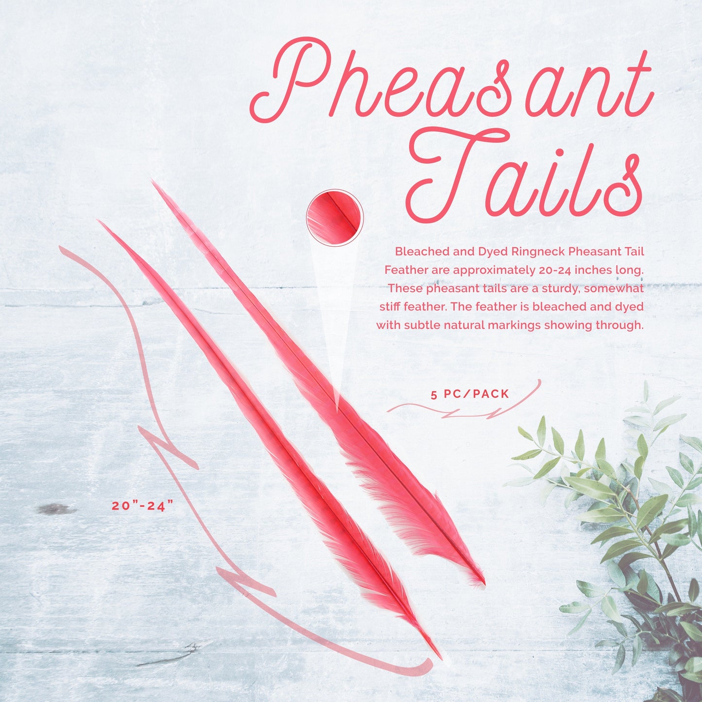 Ringneck Pheasant Tails Bleached & Dyed Coral - Feathers