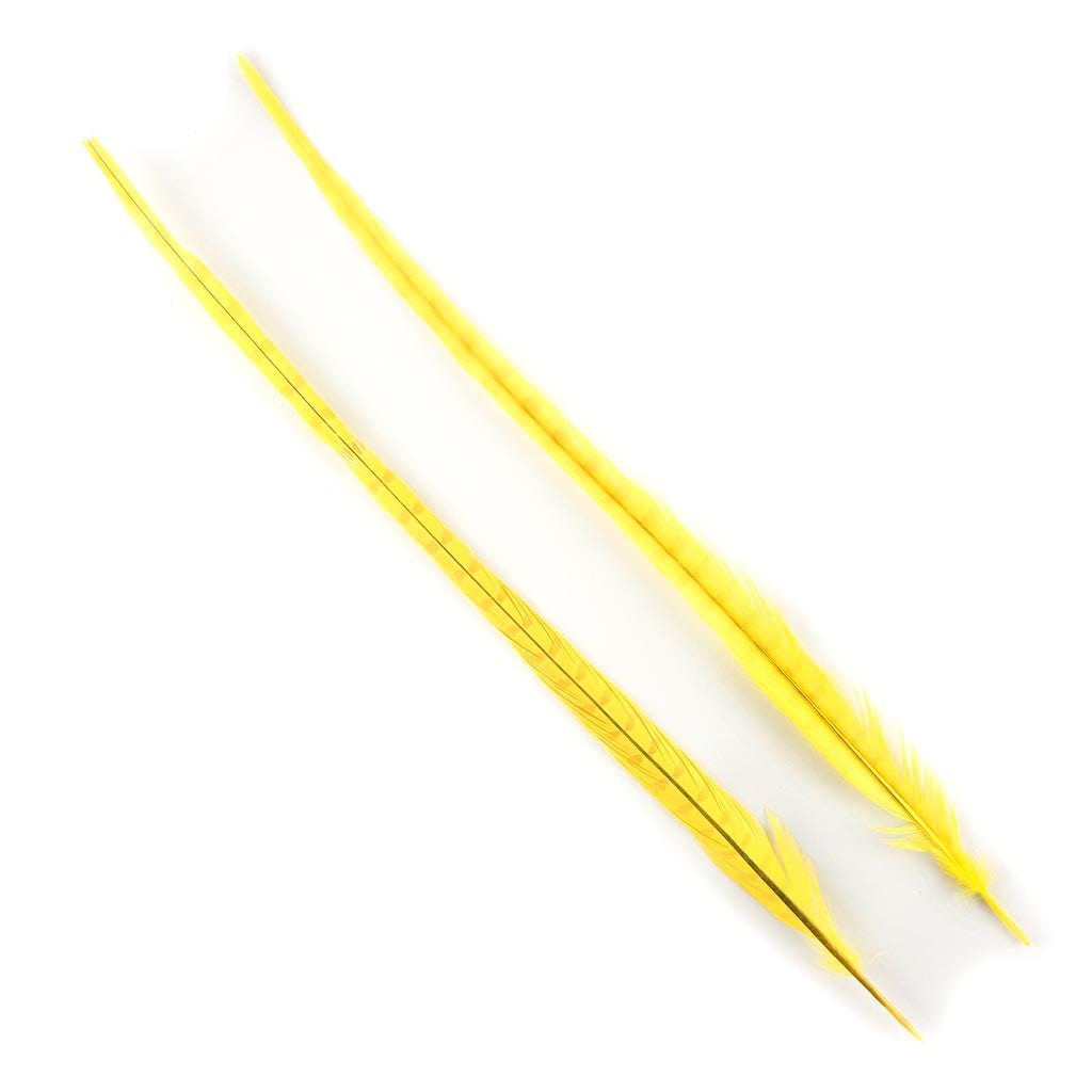 Ringneck Pheasant Tails Bleached & Dyed Fl Yellow - Feathers