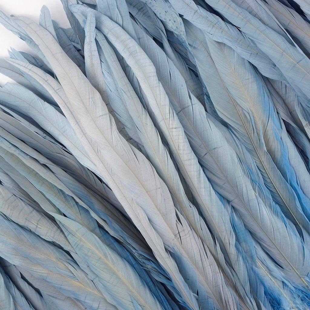 Rooster Coque Tails-Bleach-Dyed Light Blue - Feathers