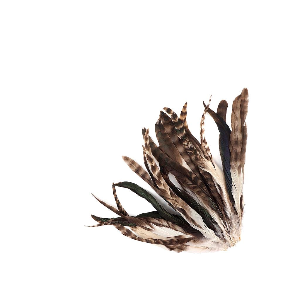 Rooster Coque Tails-Chinchilla - 9-12’’ - Feathers