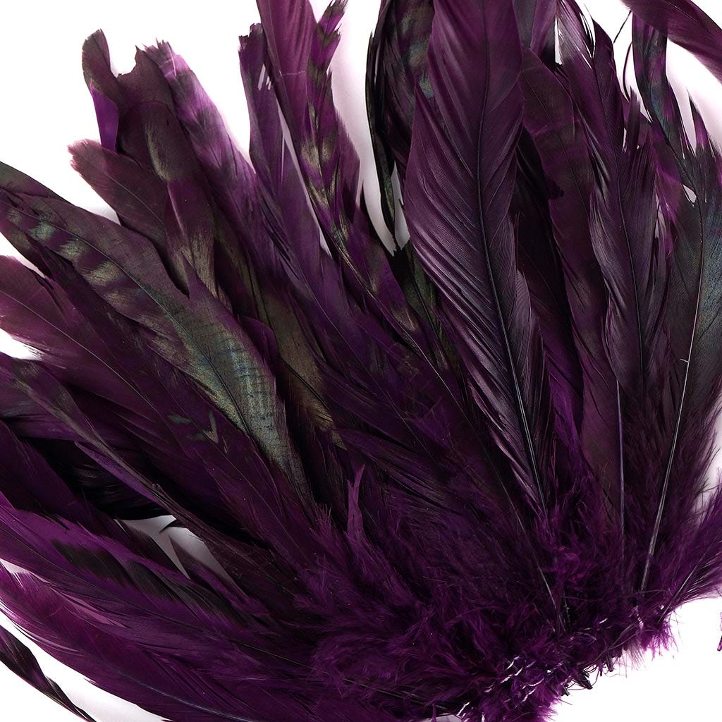 Rooster Coque Tails-Chinchilla Purple - Feathers