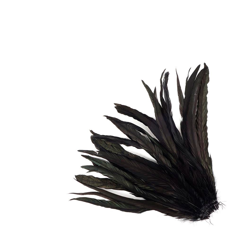 Rooster Coque Tails-Dyed - Black/Iridescent - Feathers