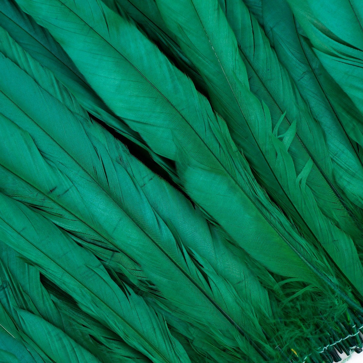 ROOSTER COQUE TAILS FEATHERS BLEACH DYED 7-10” - 1/2 Yard (18’’) Kelly - Feathers