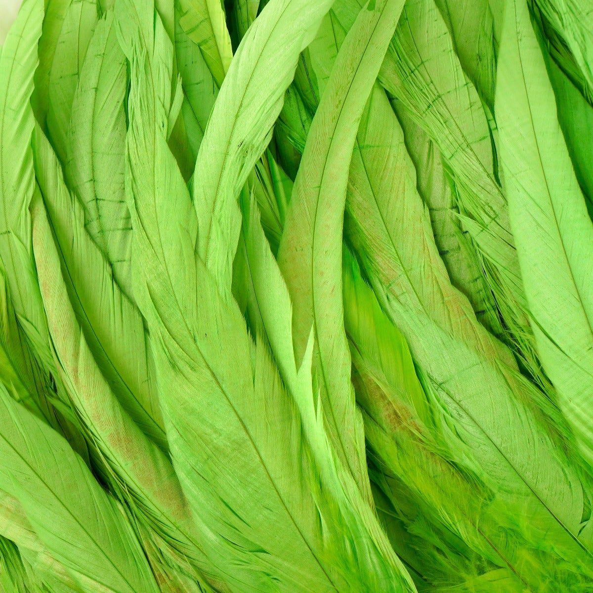 ROOSTER COQUE TAILS FEATHERS BLEACH DYED 7-10” - 1/2 Yard (18’’) Lime - Feathers