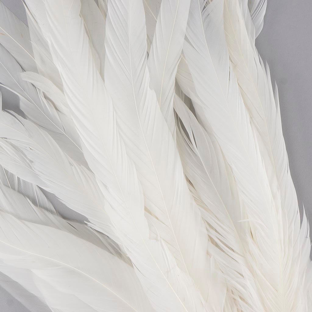 Rooster Coque Tails White - 12 - 14’’ - Feathers