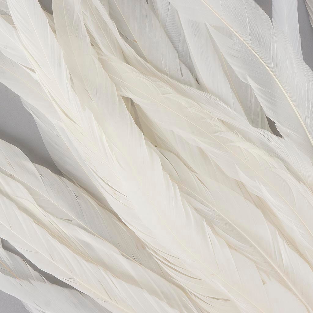 Rooster Coque Tails White - 15 - 18’’ - 25pcs - Feathers