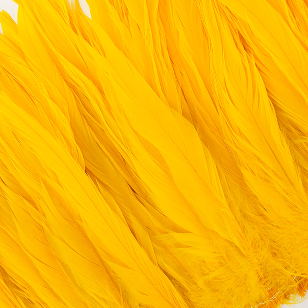 Rooster Coque Tails White-Dyed - Gold - Feathers