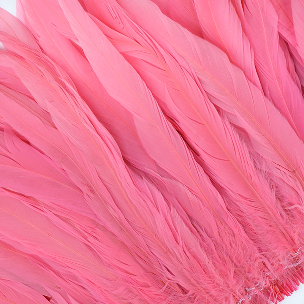 Rooster Coque Tails White-Dyed - Pink Orient - Feathers