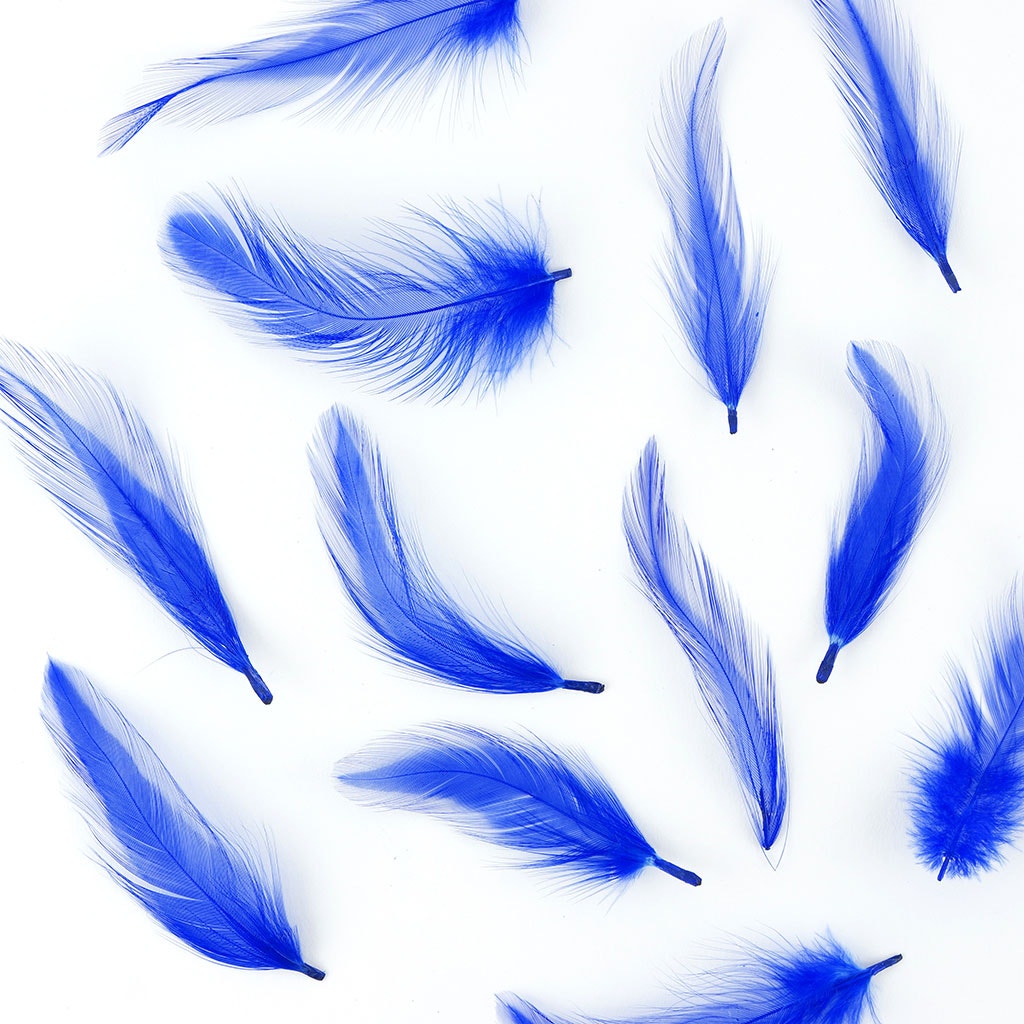 Rooster Hackle-Dyed - Royal - Feathers