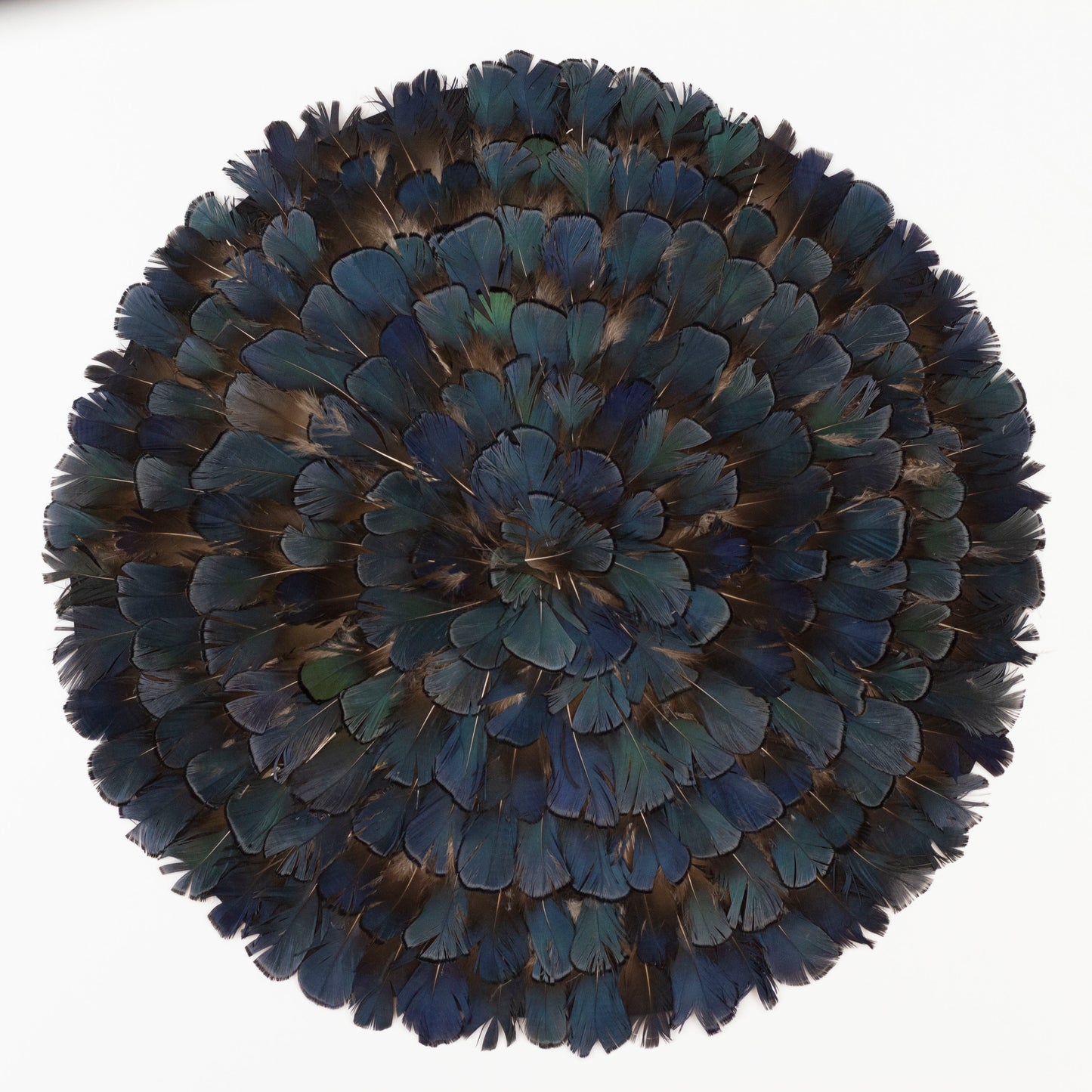 Lady Amherst Bronze Iridescent Feather Placemat