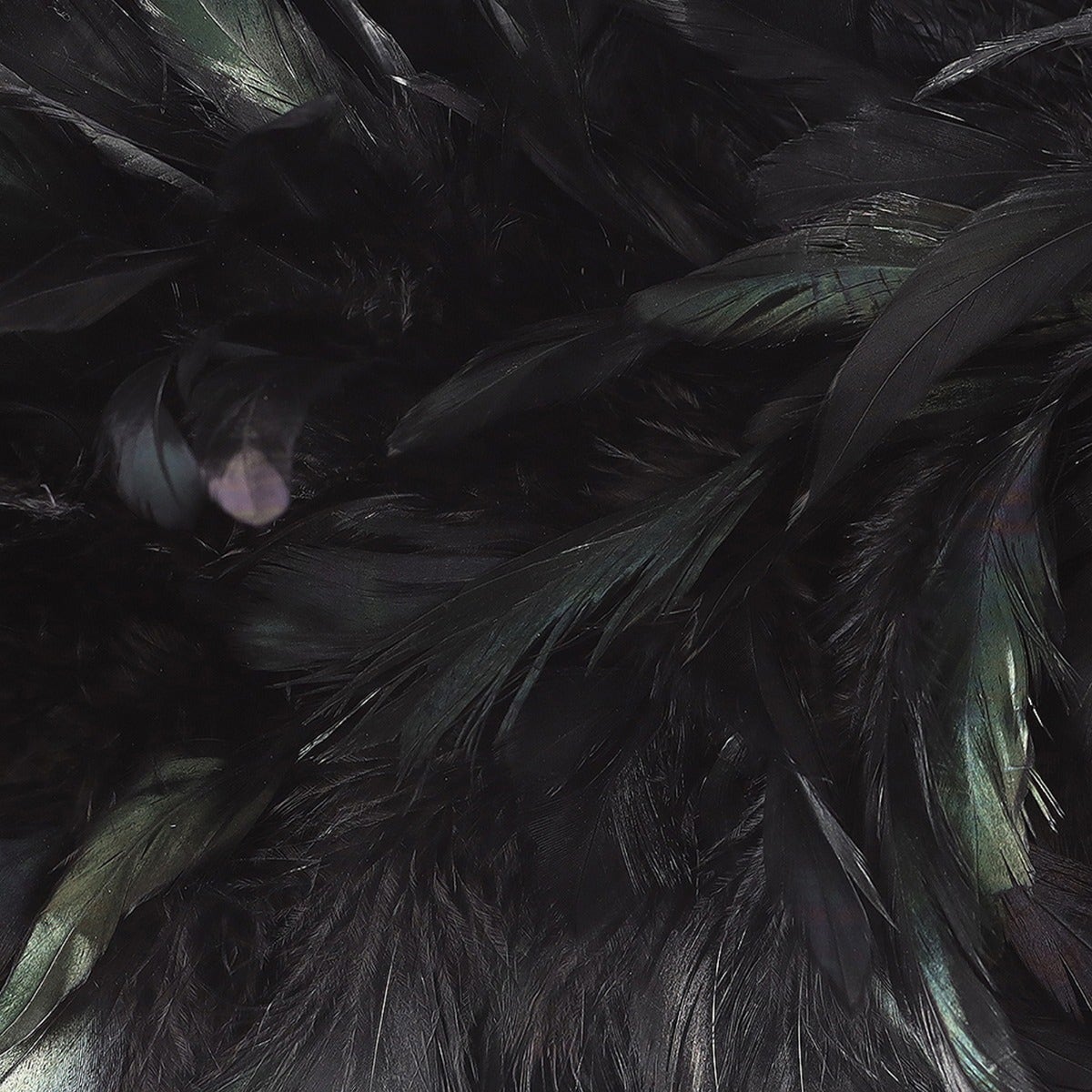 Schlappen Boa-Dyed Iridescent 6-7’’ - Black/Iridescent - Rooster Boa