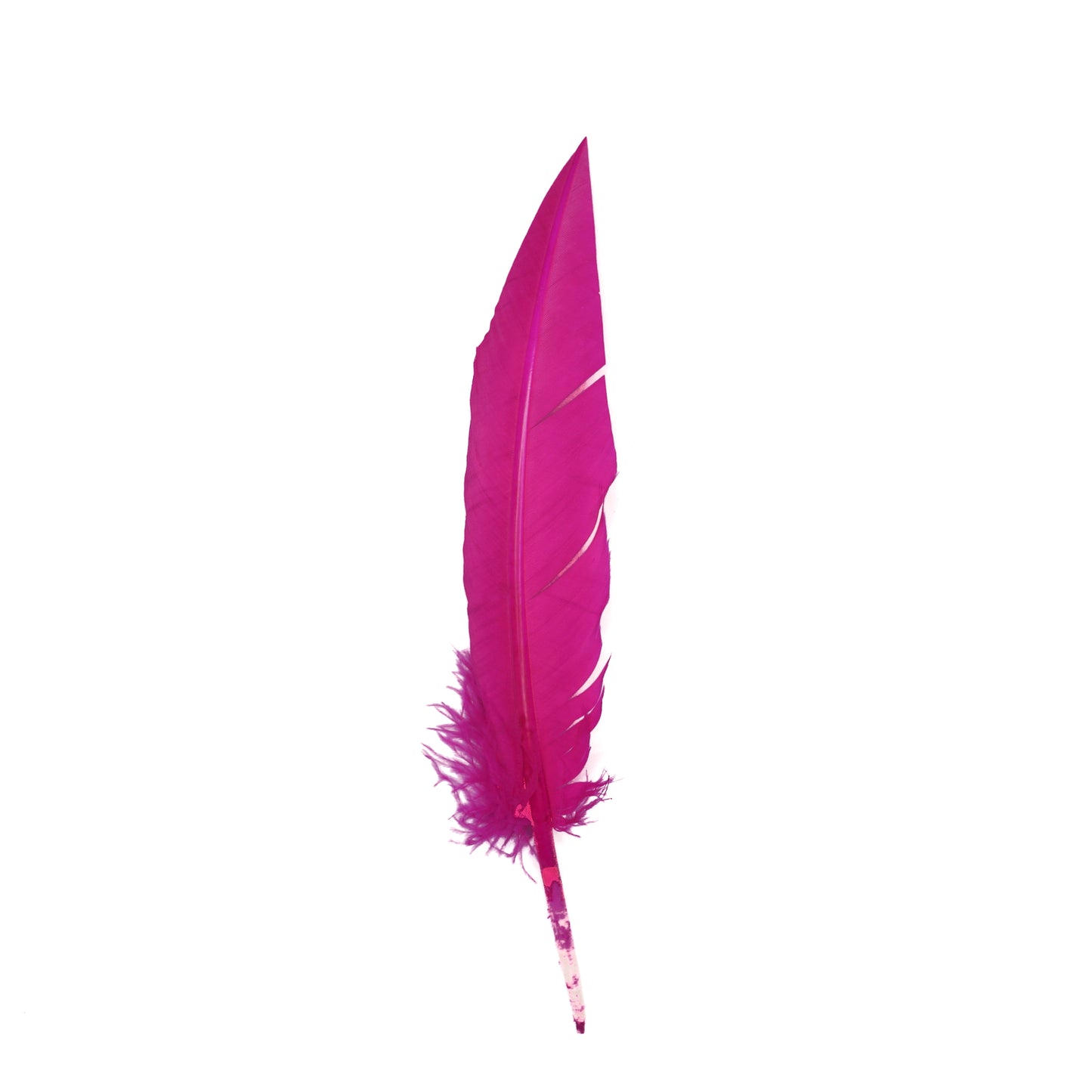 Shocking Pink Dagger Turkey Quill Feathers 9-12"