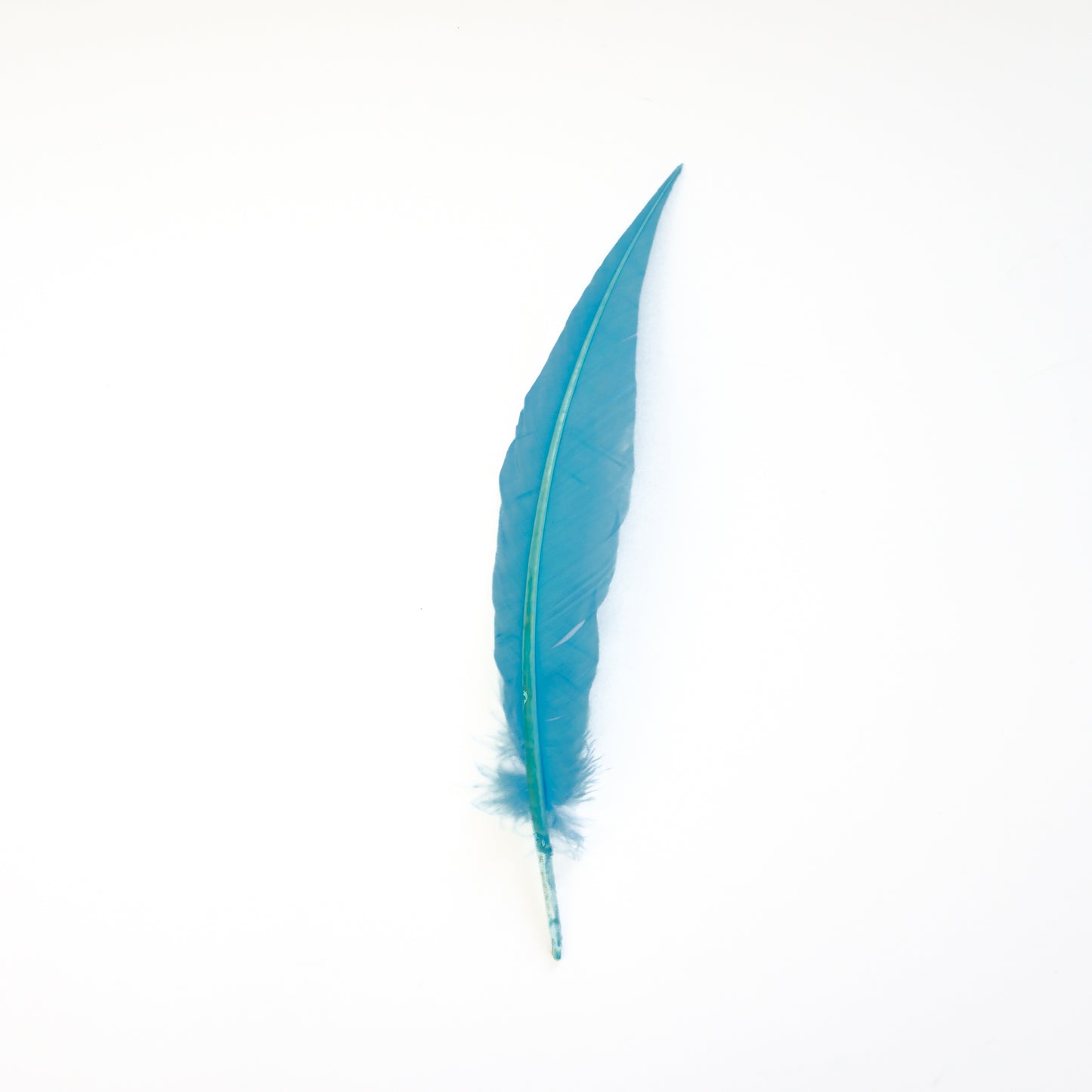 Sky Blue Dagger Turkey Quill Feathers 9-12"