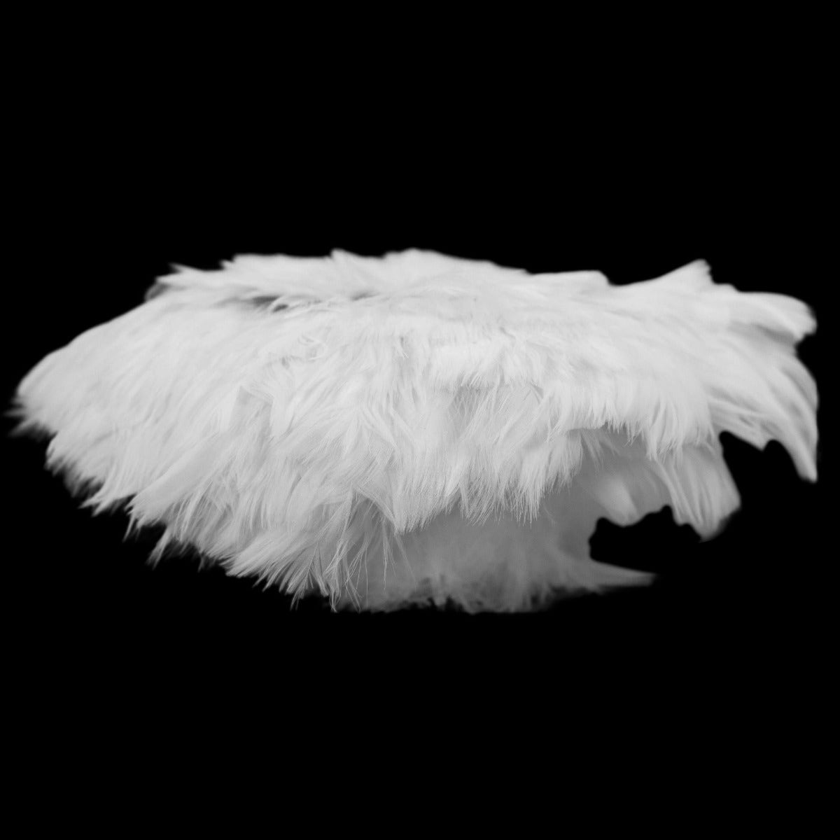Strung Goose Coquille Feathers 3-4’’ -- 1/4 lb-White - Feathers