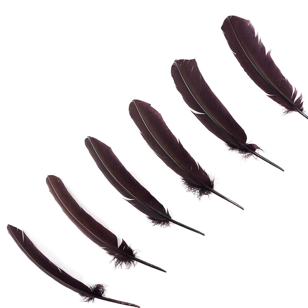 Turkey Quills by Pound - Right Wing - Brown - Feathers