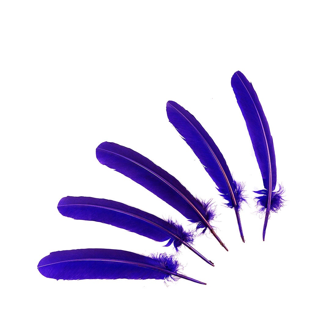 Turkey Quills Selected - Regal - Feathers