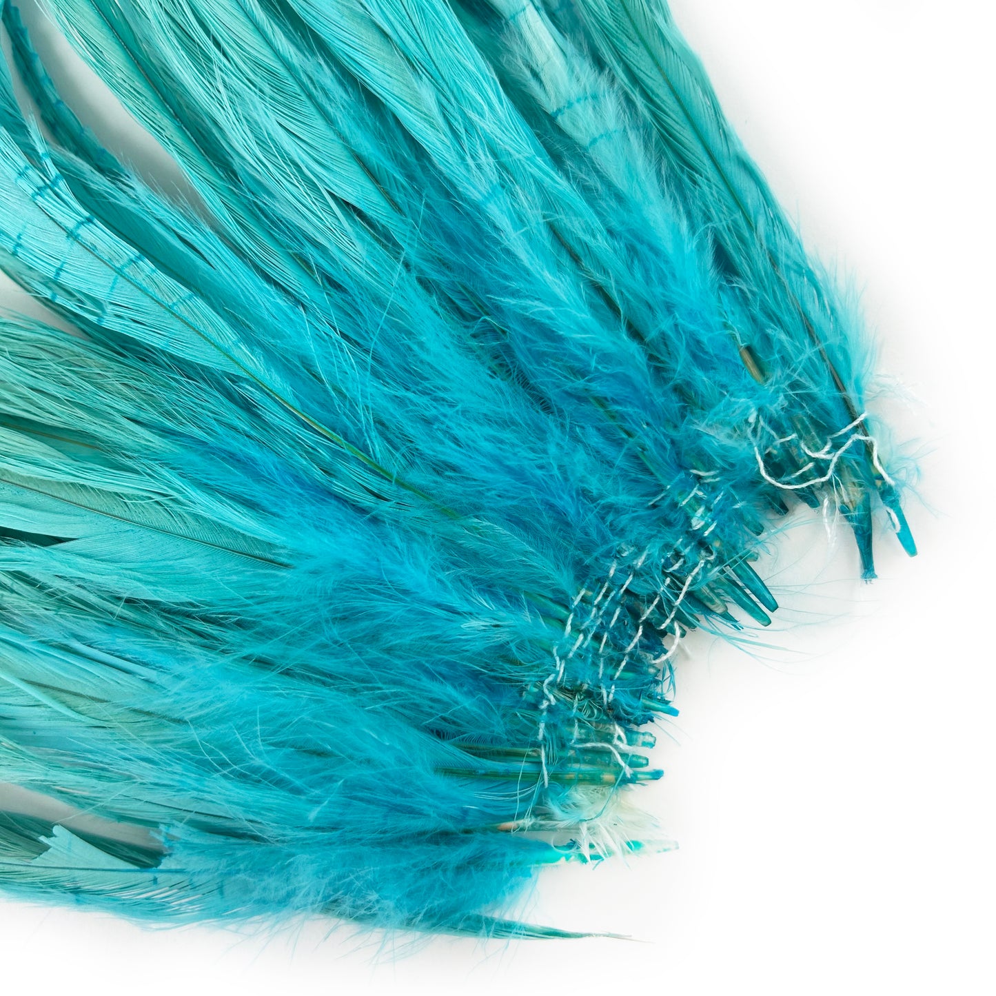 ROOSTER COQUE TAIL FEATHERS BLEACH DYED 7-10” - 25 PC/PKG -Light Turquoise