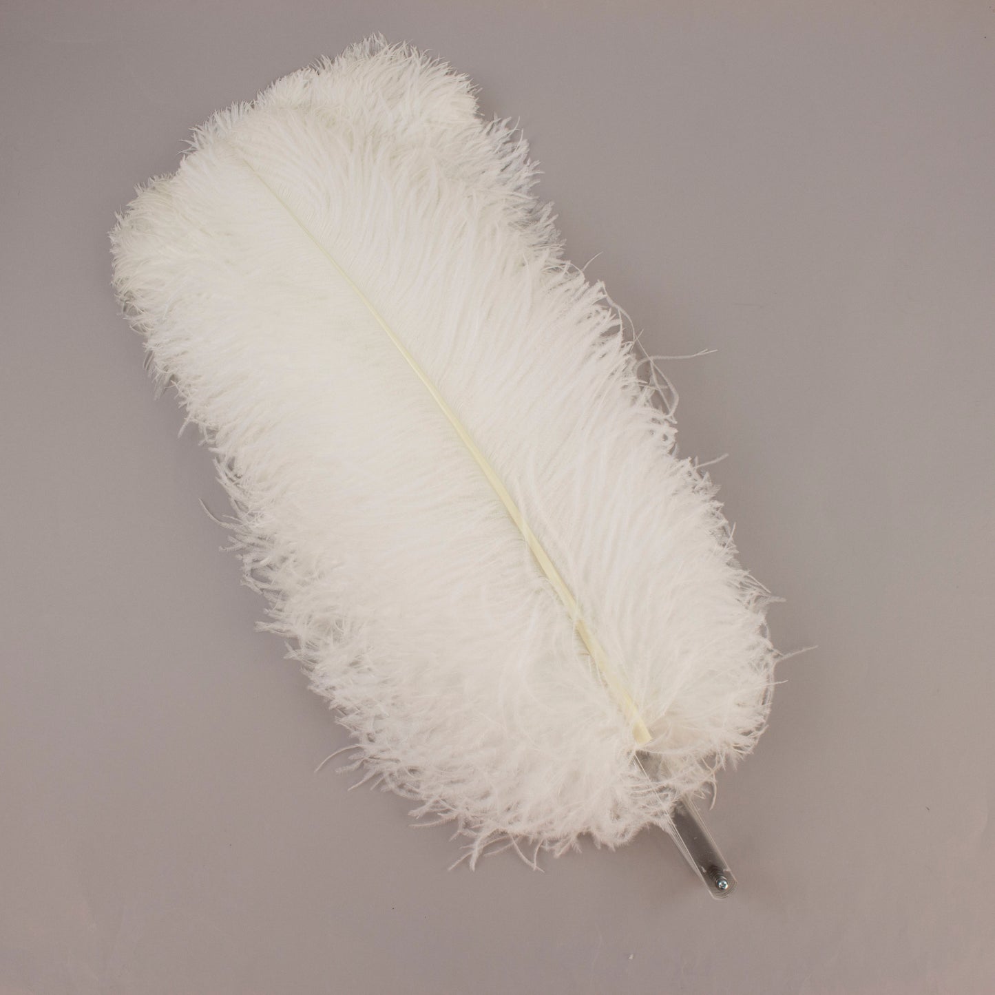 Ostrich Prime Quality Fan W/Acrylic Staves Right Facing 22 x 40 inch --White