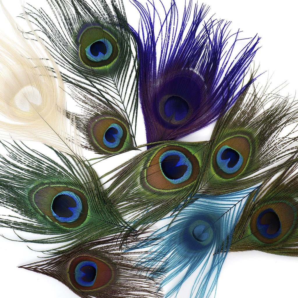 Peacock Assorted Feather Eyes - Assorted Mix