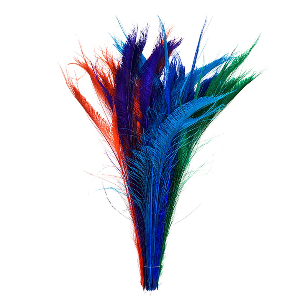 Peacock Swords Bleach Jewel Mix Dyed Feather | Buy Craft Feathers
