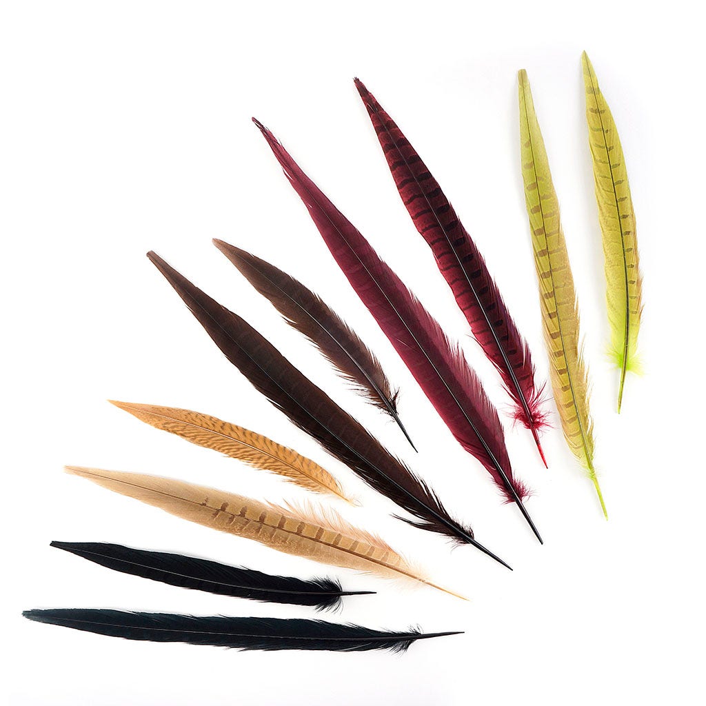 Assortment of Natural Pheasant Feathers