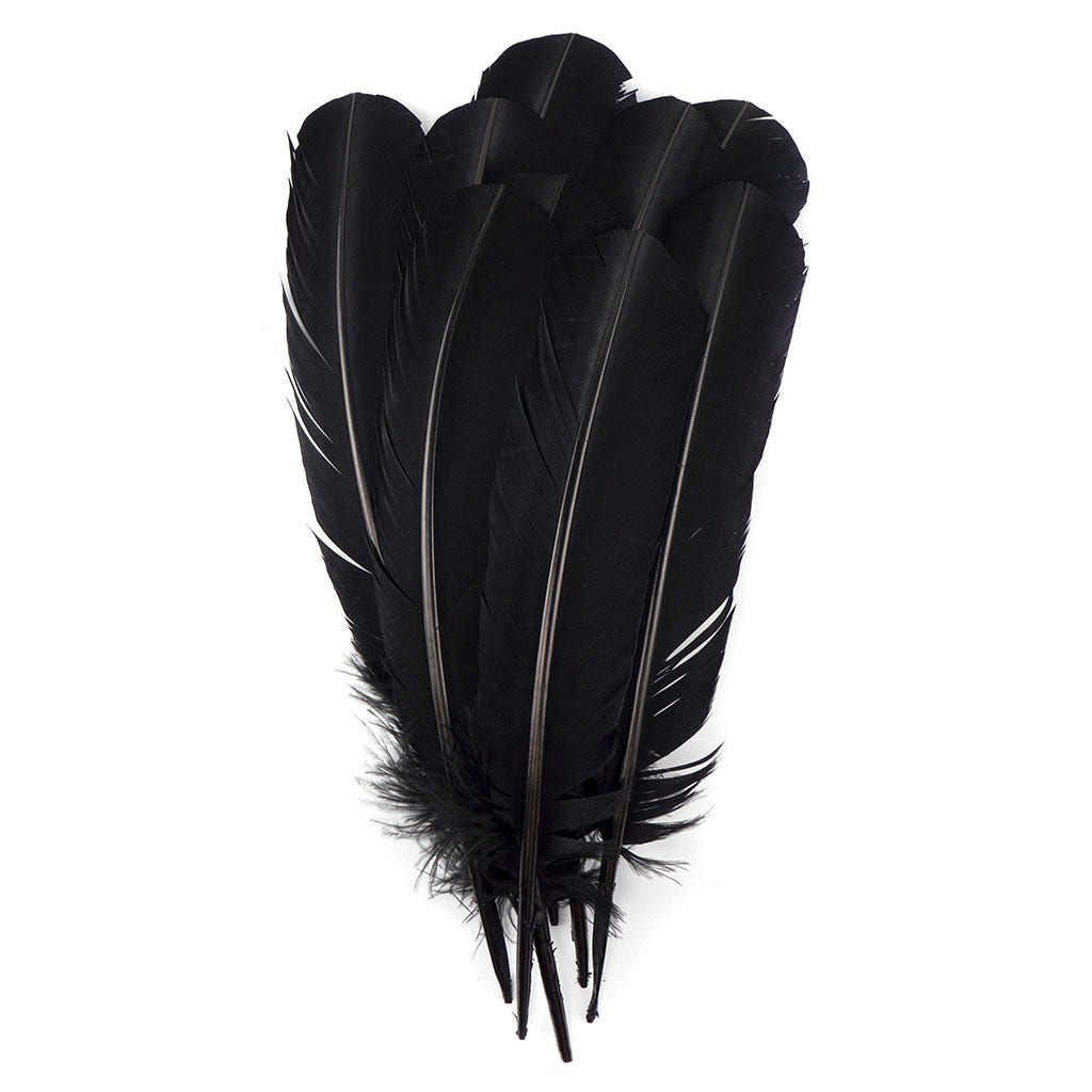Black Feathers –  by Zucker Feather Products, Inc.