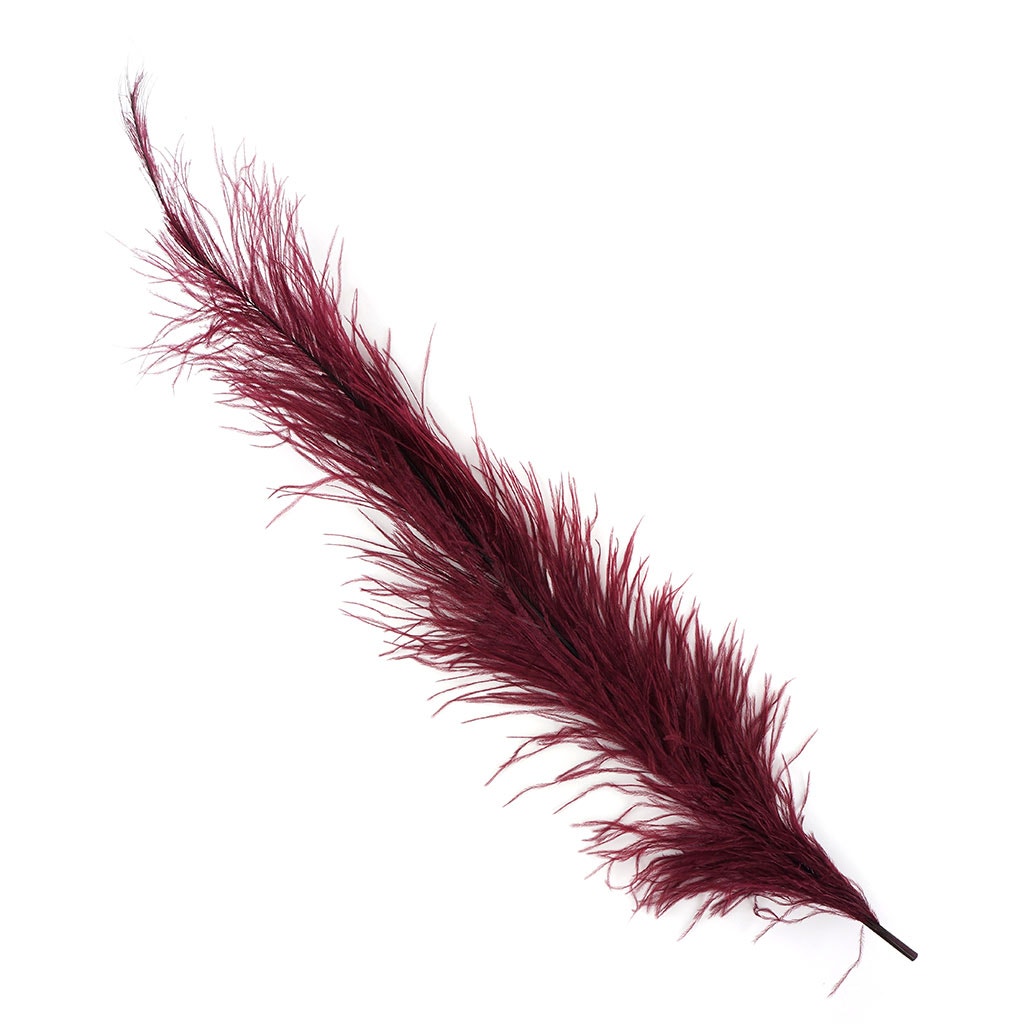 Ostrich Feathers-Spads Damaged - Burgundy