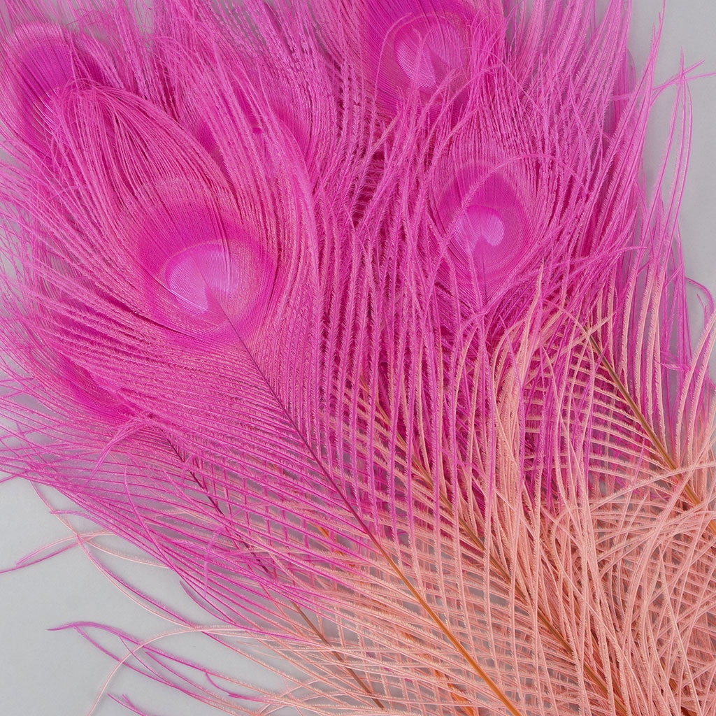 Peacock Eyes Bleached/Dyed & Tipped Feathers - 25-40 Inch - 10 PCS - Coral - Shocking Pink