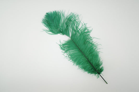Ostrich Feathers-Damaged Drabs - Kelly