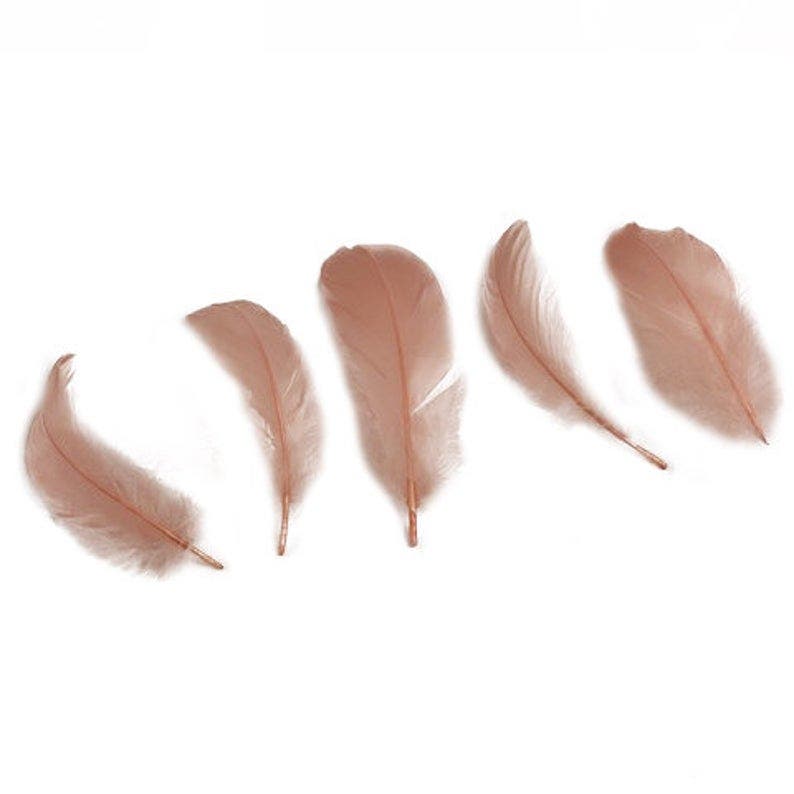 White Goose Nagoire Loose Feathers for Sale | Buy Goose Feathers Online