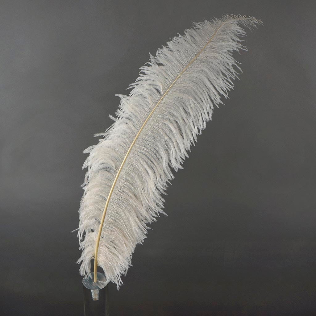 White Ostrich Feather Spads Selected | Wholesale Craft Feathers