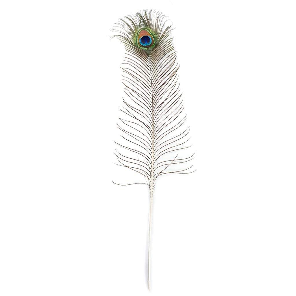 25 Pcs Peacock Feathers 45-50