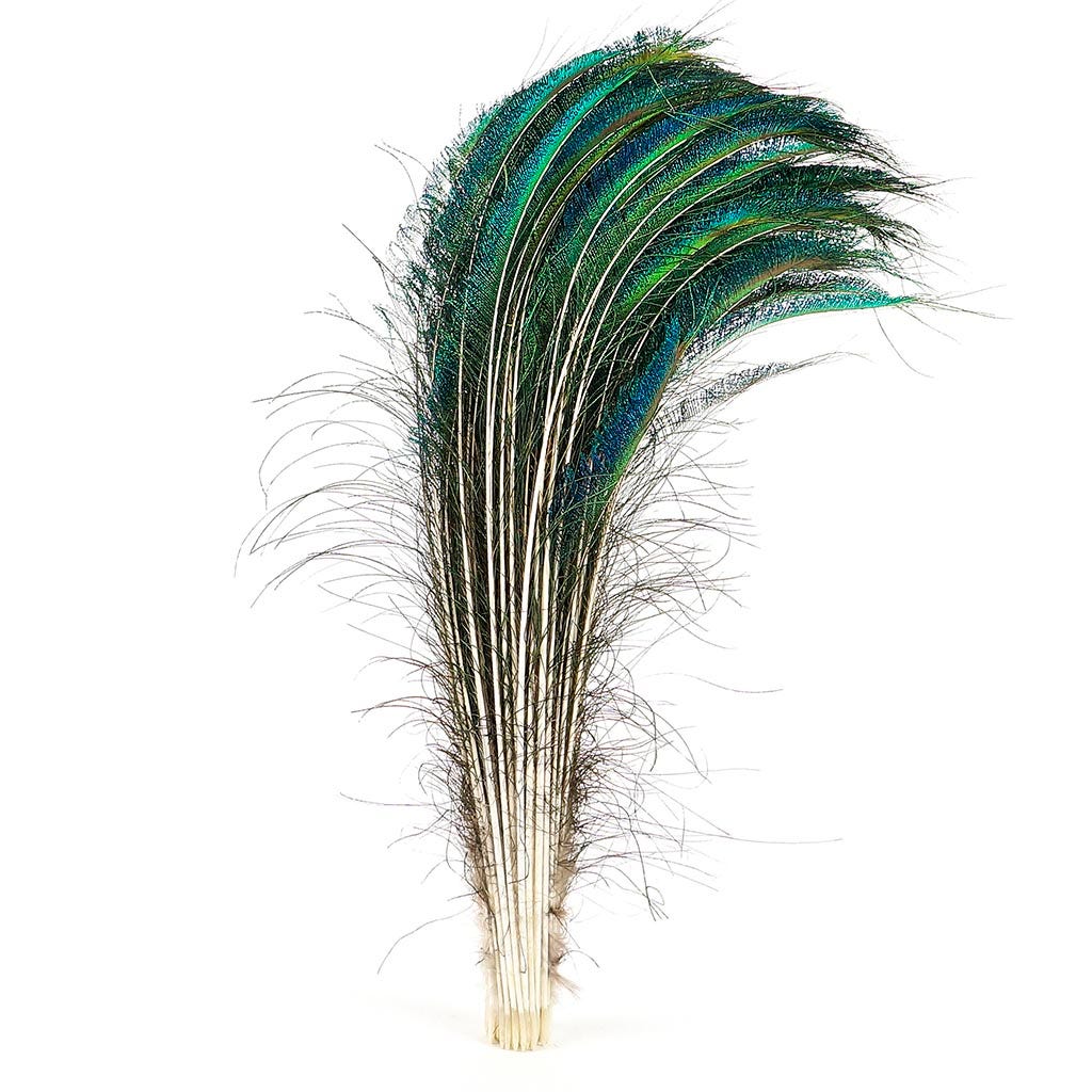 Natural Peacock Feathers, Peacock Feathers Crafts