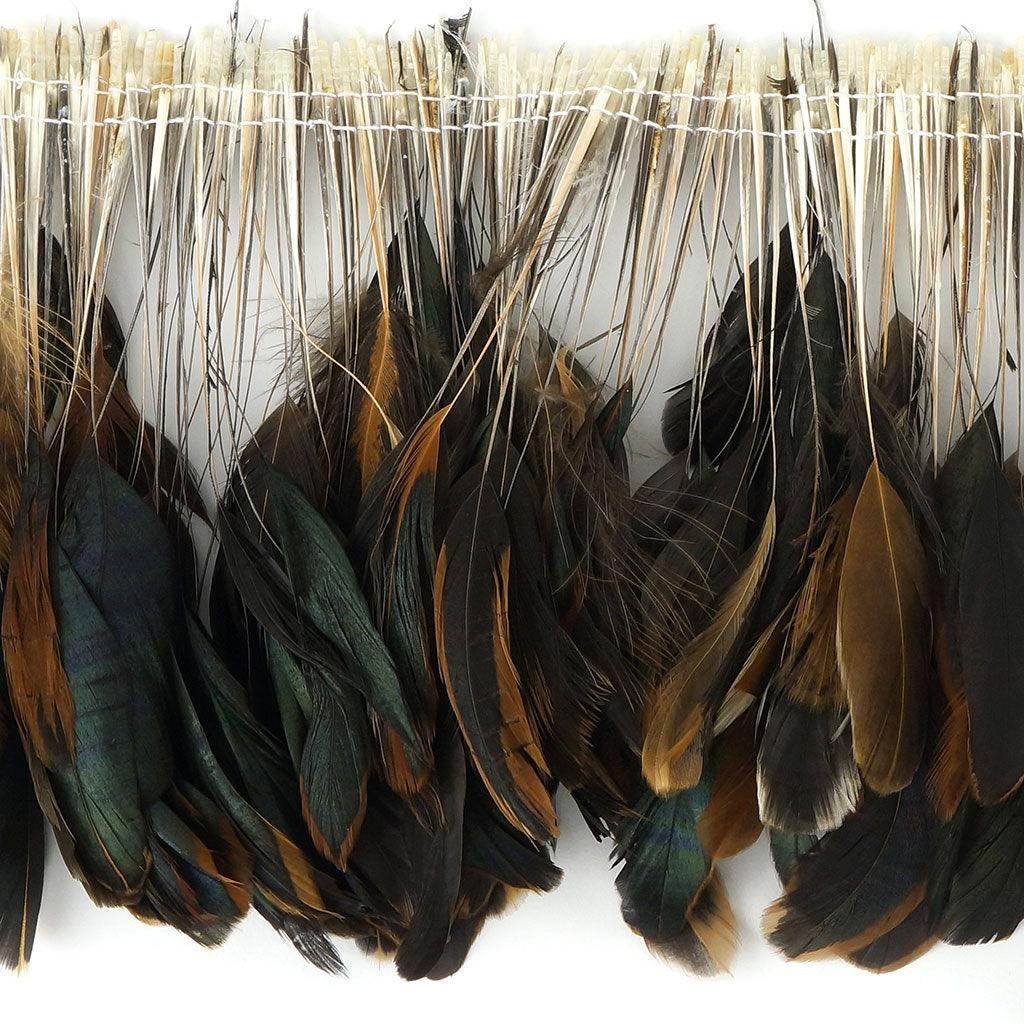 Rooster Feathers For Sale, Bulk Feathers